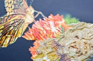 le vernis effet sablé Pulsio Print