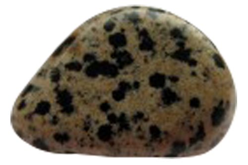 Pierre sédimentaire avec un fond brun et des pois noirs