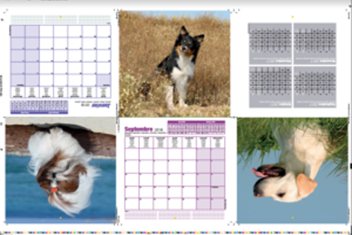Impression avec des cahier de de6 pages au total.