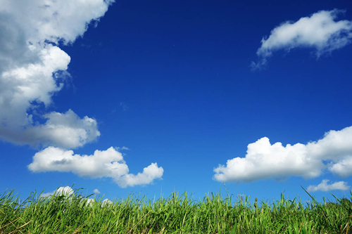 Pulsio Print, un imprimeur respectueux de l'environnement.